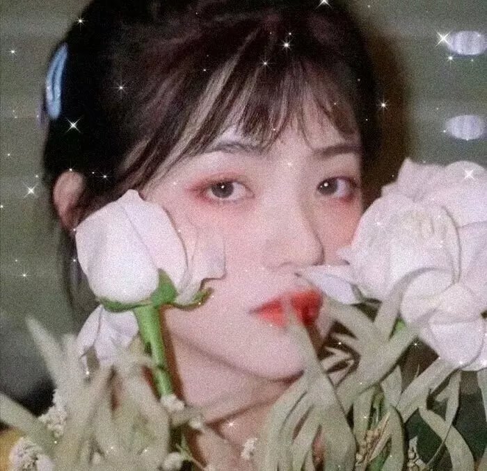 天才骗子